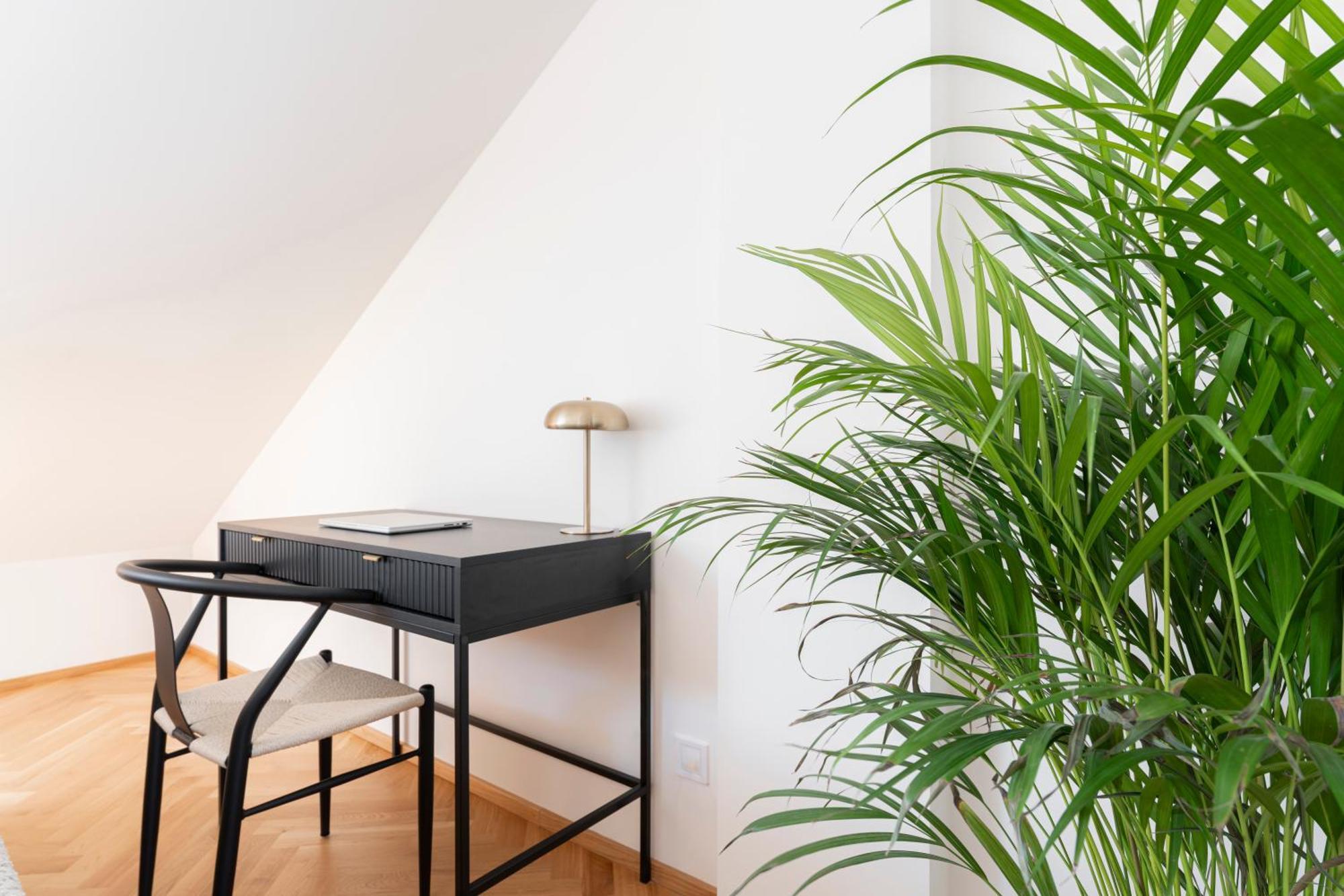 Visit Oomph Praha